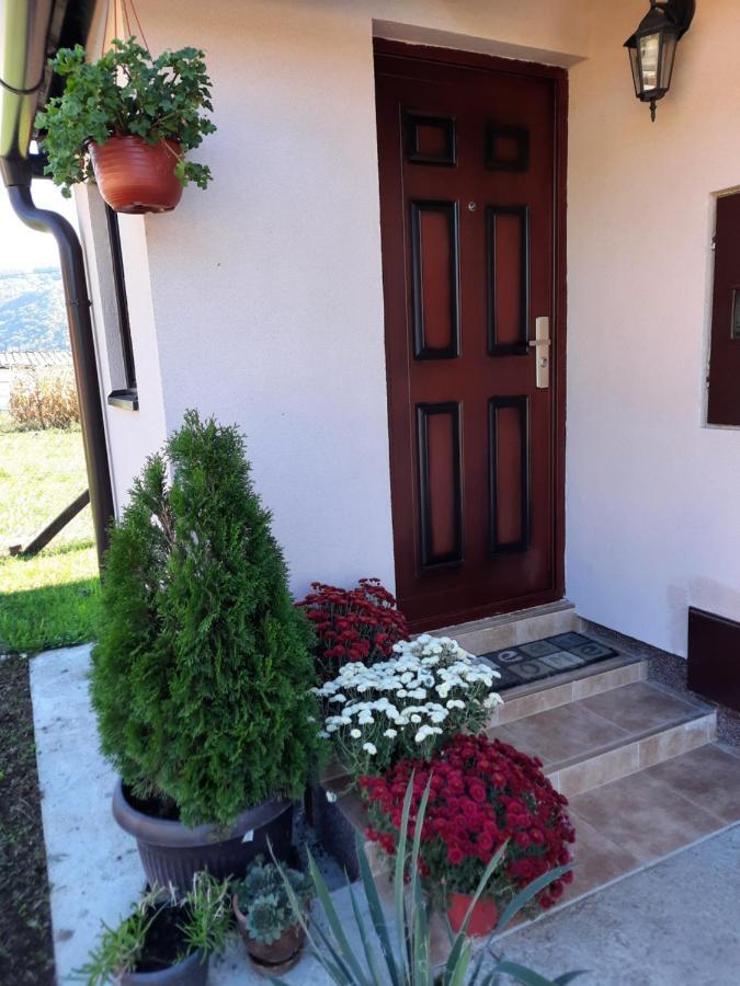 Drinski Oganj Kuca Za Odmor Bajina Basta Exterior photo