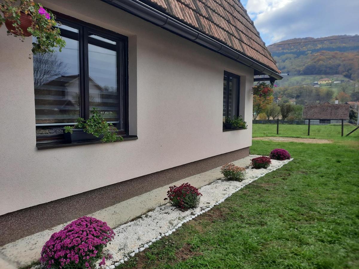 Drinski Oganj Kuca Za Odmor Bajina Basta Exterior photo