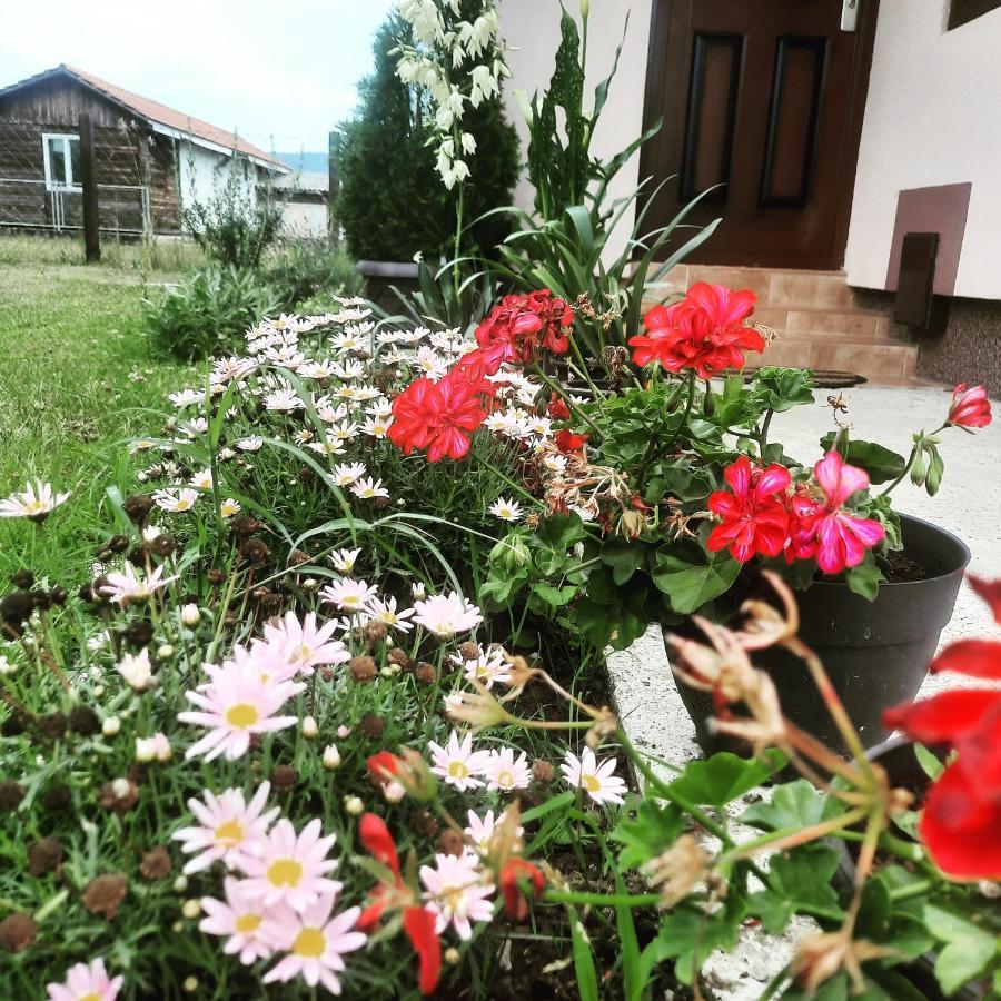 Drinski Oganj Kuca Za Odmor Bajina Basta Exterior photo